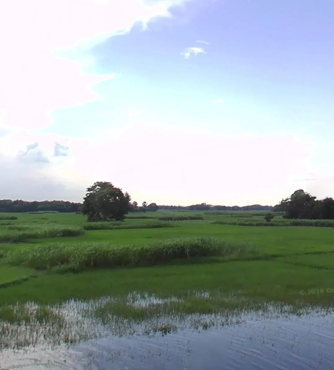 Agricultural land